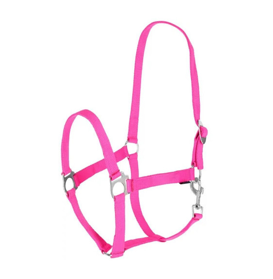 Kantar Hippo Pink Covalliero