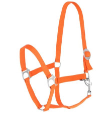 Kantar Hippo Orange Covalliero