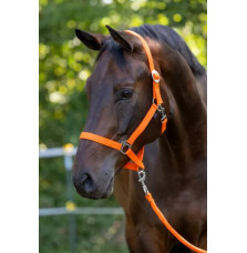 Kantar Hippo Orange Covalliero