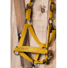 Kantar Faux Leather Double Pin Golden Yellow Platinum 25 Eskadron