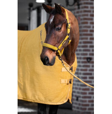 Kantar Faux Leather Double Pin Golden Yellow Platinum 25 Eskadron