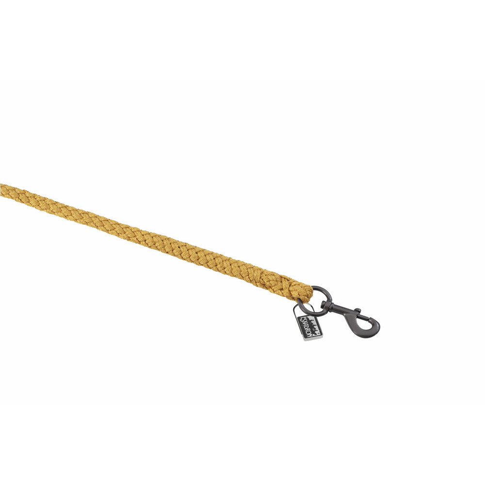 Uwiąz Ze Zwykłym Karabińczykiem Gold Yellow Platinum 25 Eskadron