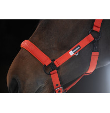 Kantar Sparkle Poppy Red Dynamic 25 Eskadron