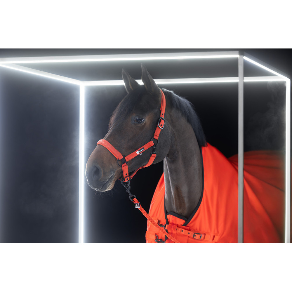 Kantar Sparkle Poppy Red Dynamic 25 Eskadron