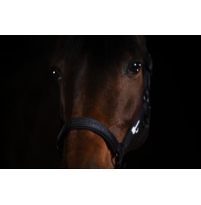 Kantar Sparkle Black Dynamic 25 Eskadron