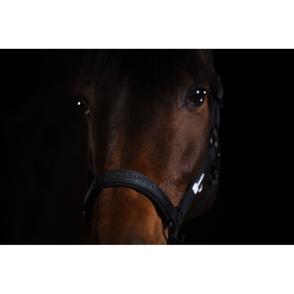 Kantar Sparkle Black Dynamic 25 Eskadron