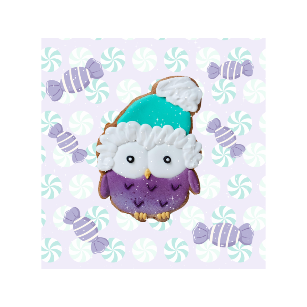 Ciasteczko Owl Christmas 2025 Candy Horse