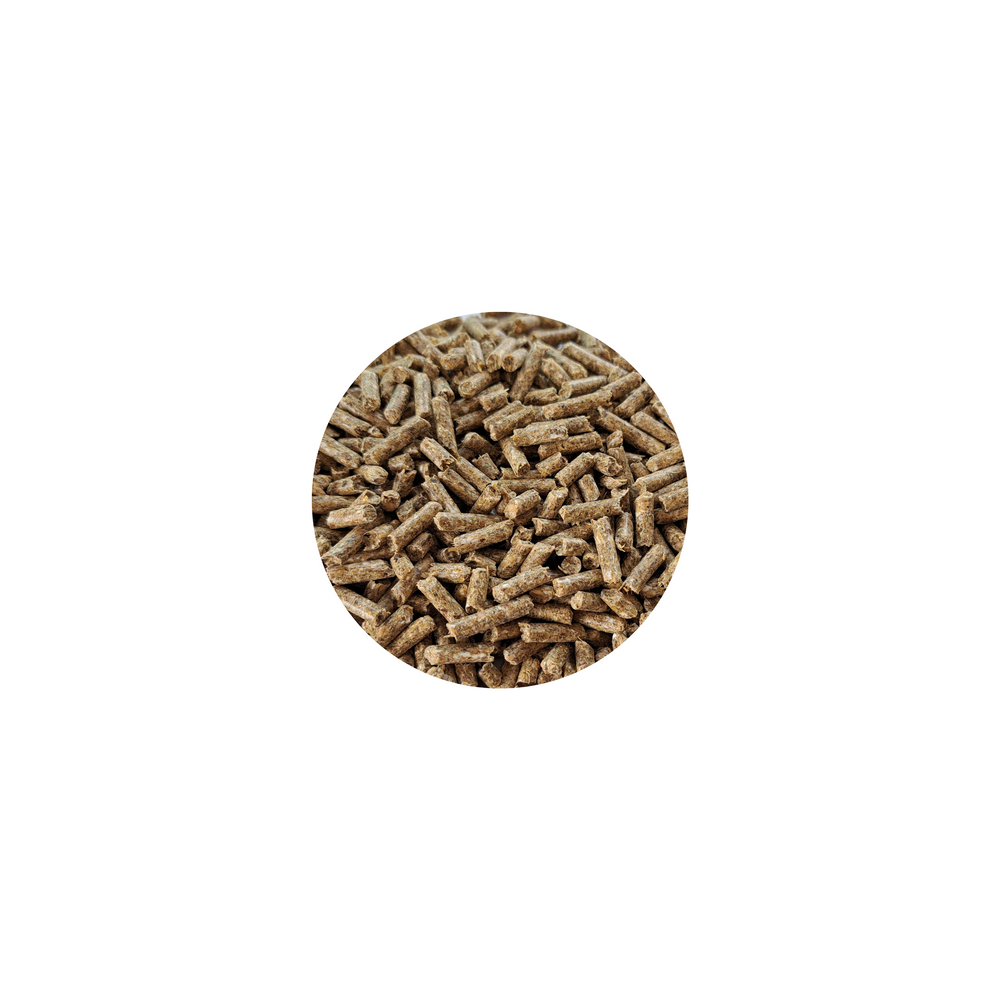 Daily Comfort ESSENTIAL BIOFEED Horse & Pony