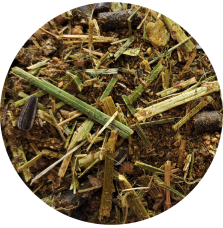 Active Grain Free Musli BIOFEED Horse & Pony