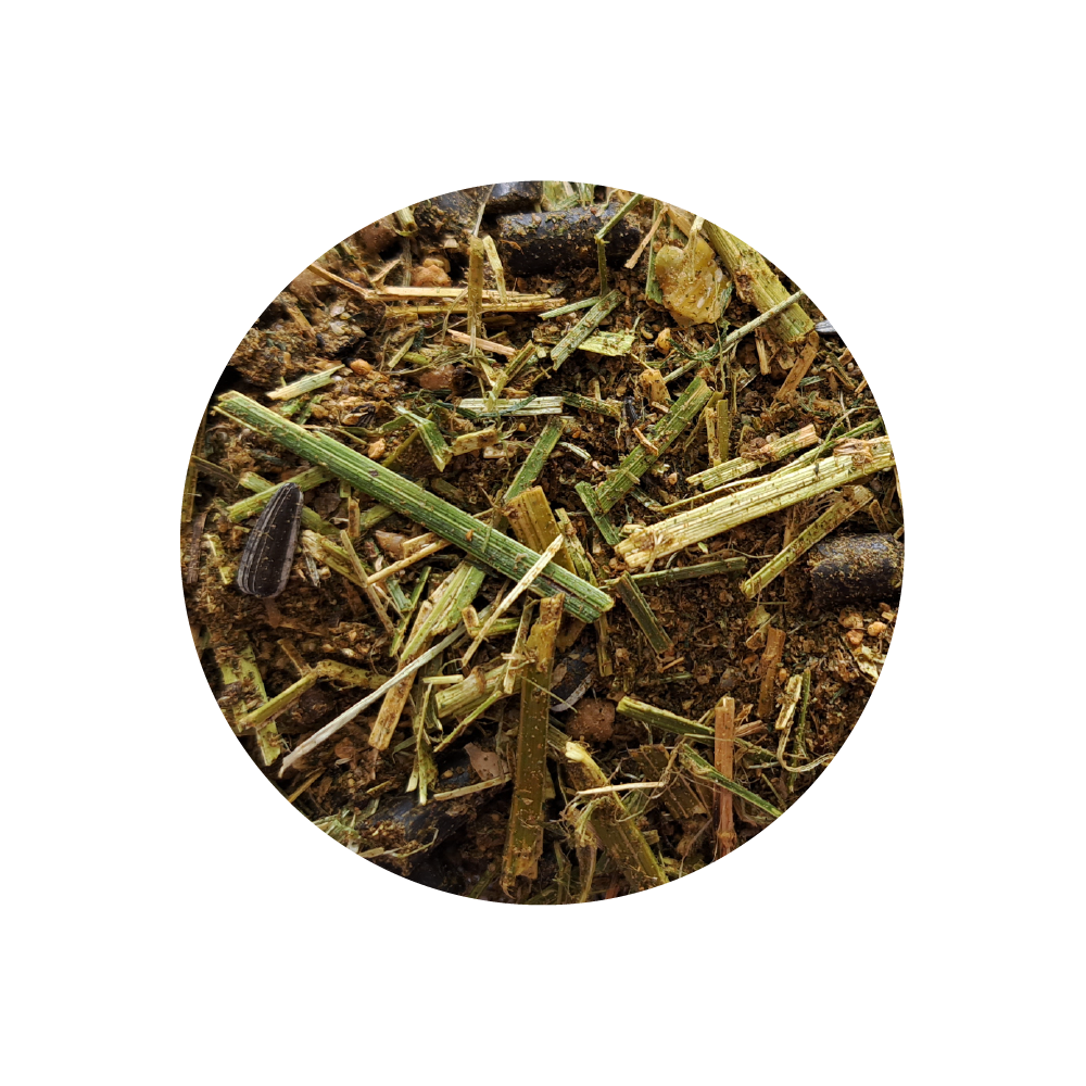 Active Grain Free Musli BIOFEED Horse & Pony