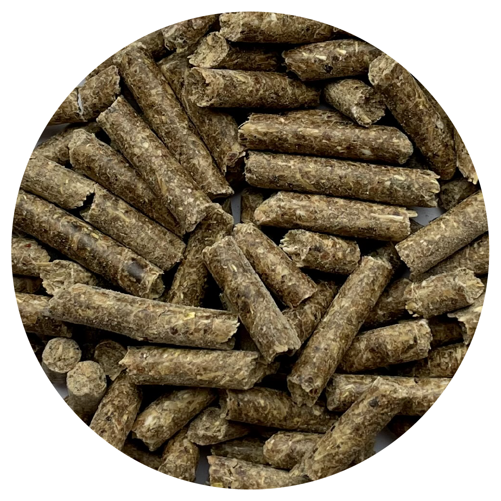 Pasza dla koni granulat Traditional Pellets BIOFEED Horse & Pony