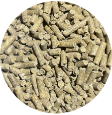 Vitamins & Minerals BIOFEED Horse & Pony