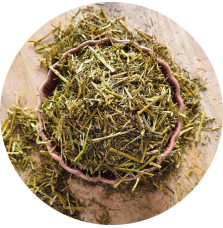 Sieczka z lucerny bez melasy Alfalfa with canola oil BIOFEED Horse & Pony