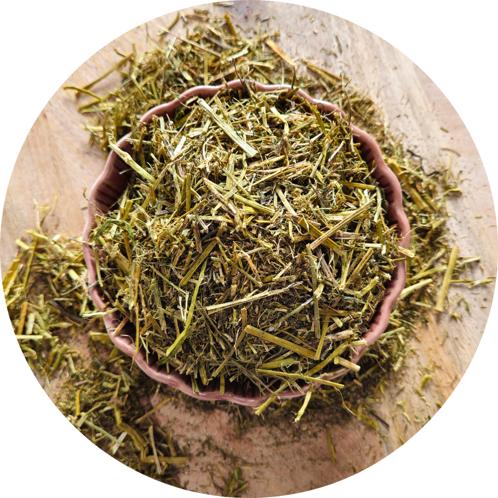 Sieczka z lucerny bez melasy Alfalfa with canola oil BIOFEED Horse & Pony