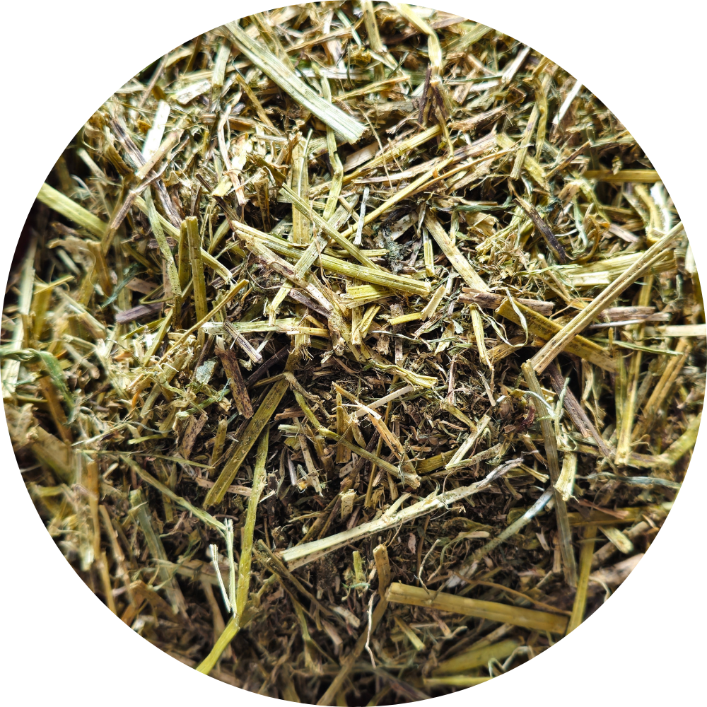 Sieczka z lucerny bez melasy Alfalfa with canola oil BIOFEED Horse & Pony