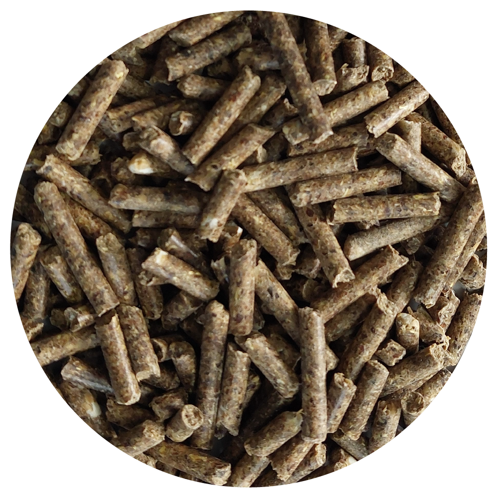 Whole Grain Pellets 1 kg BIOFEED Horse & Pony