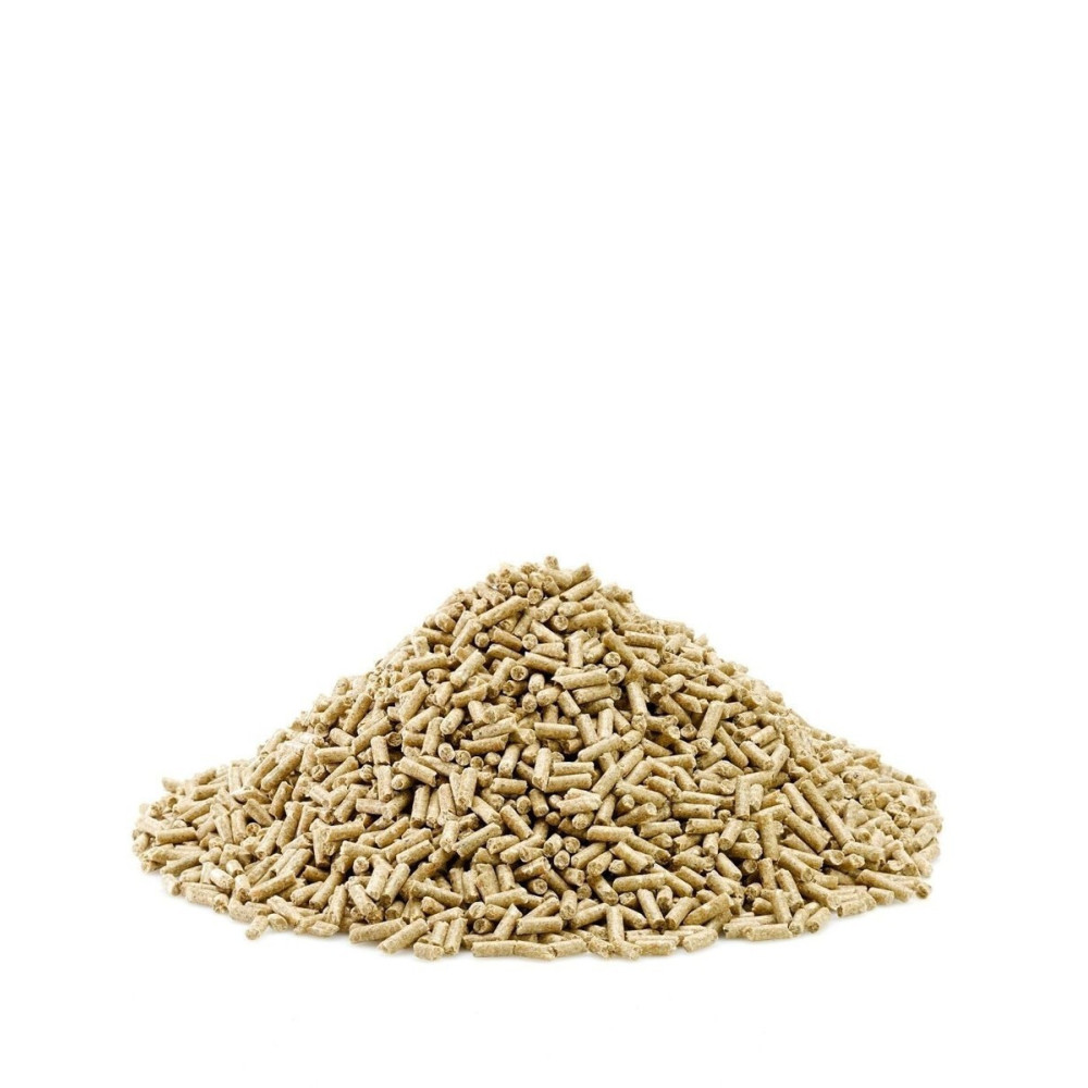 Koncentrat Stamm 30 Concentrate Saracen