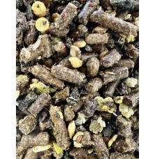 Veteran Balancer Saracen