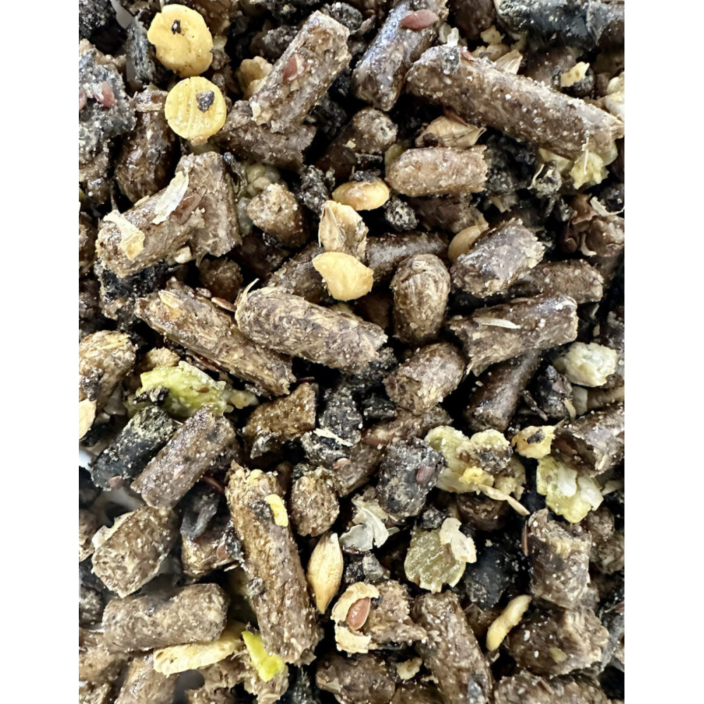 Veteran Balancer Saracen