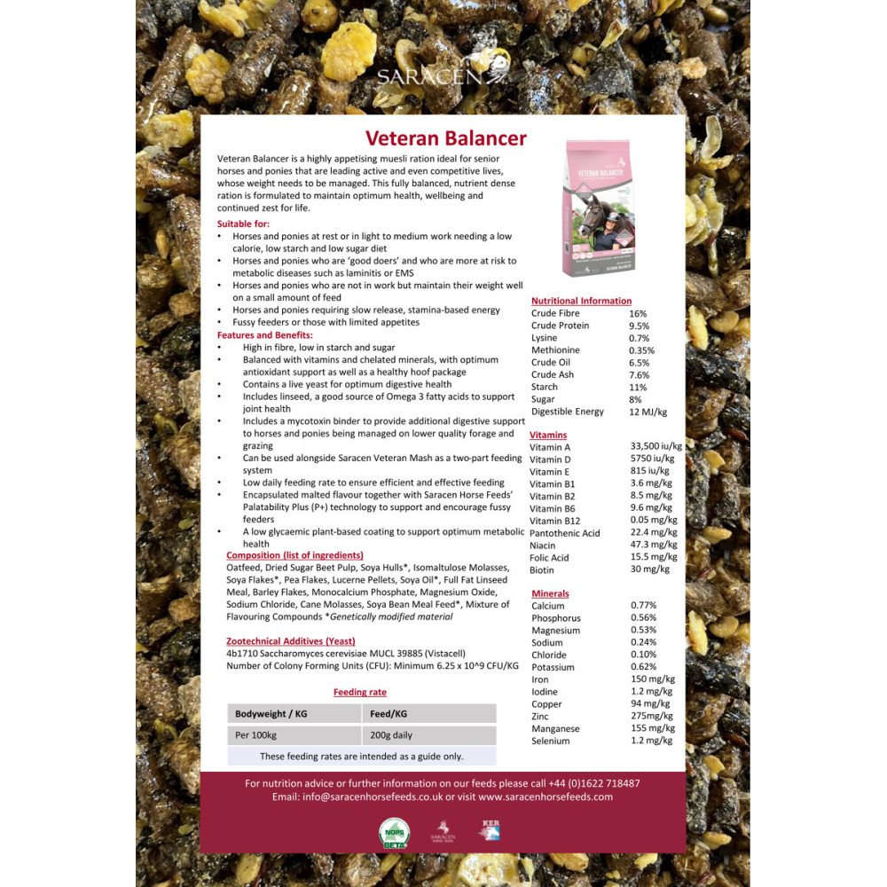 Veteran Balancer Saracen