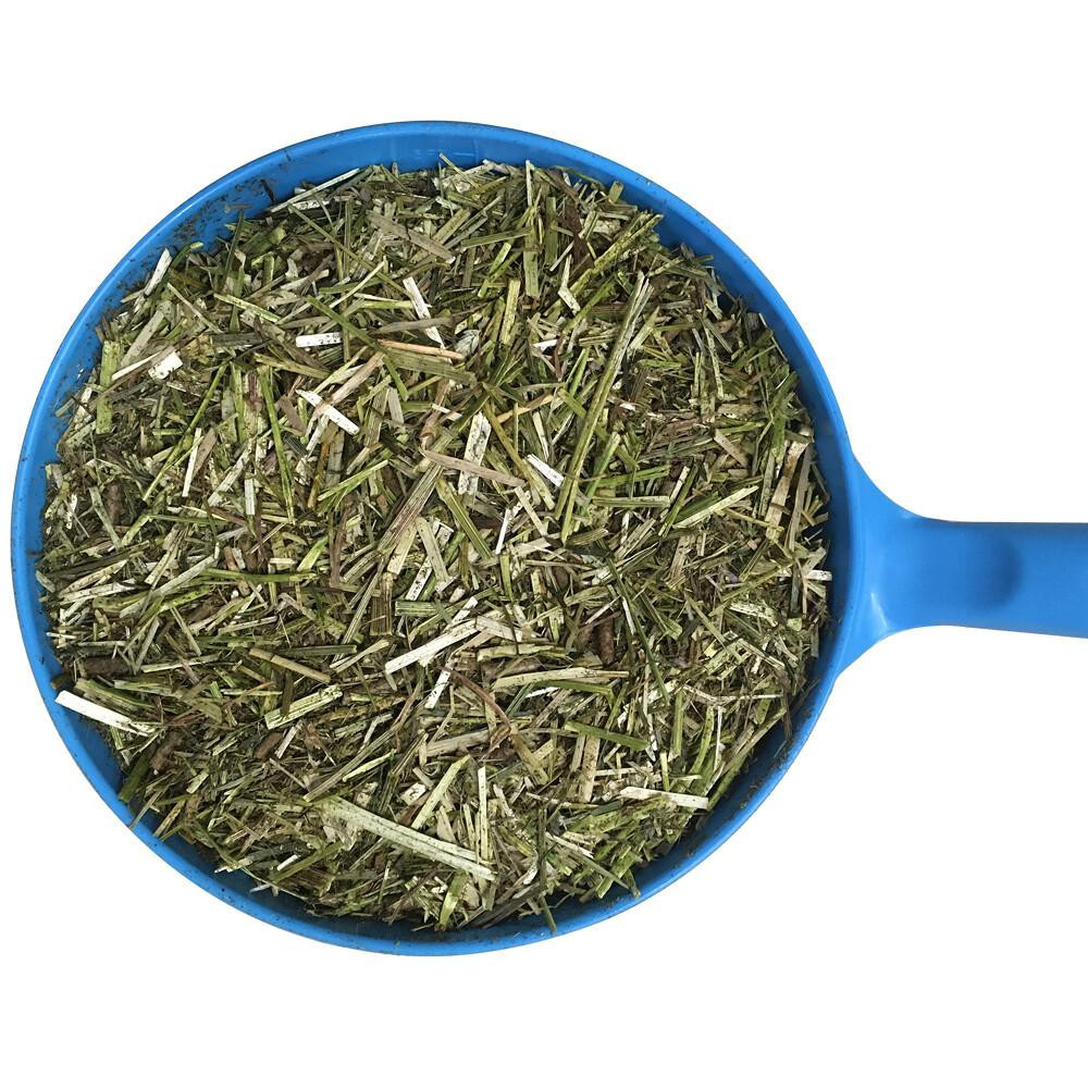 Pasza Fibre UP Dodson & Horrell