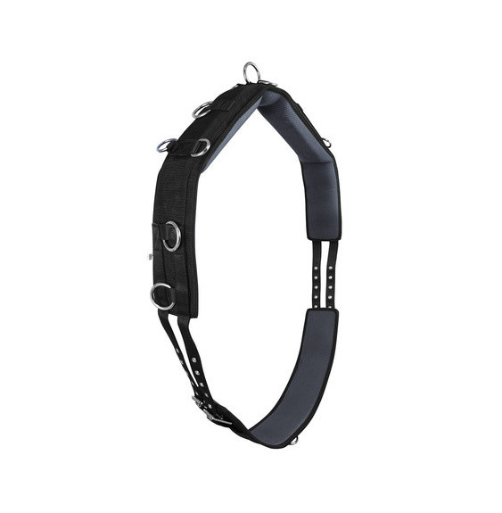 Pas do Lonżowania York