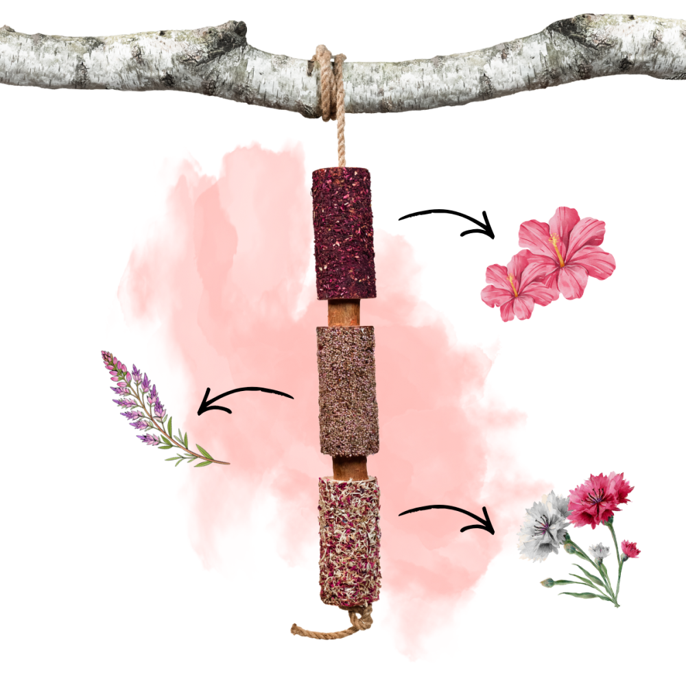 Gryzak "Pełen Miłości" Walentynki 2026 Candy Horse