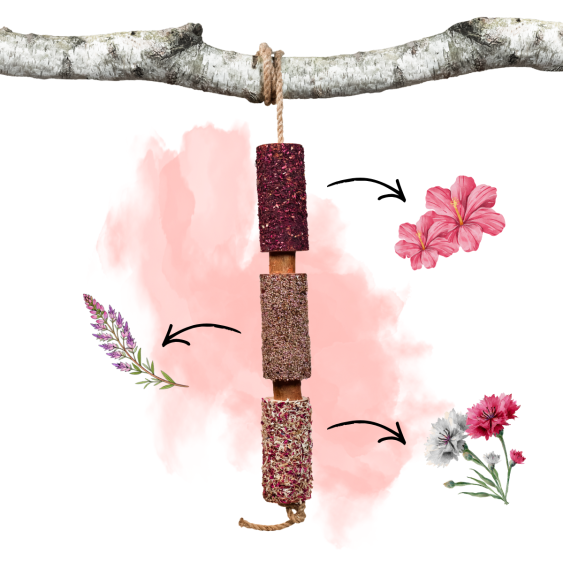 Gryzak "Pełen Miłości" Walentynki 2026 Candy Horse