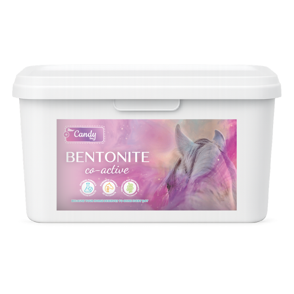 Bentonite Co-Active BIOFEED Horse & Pony Candy