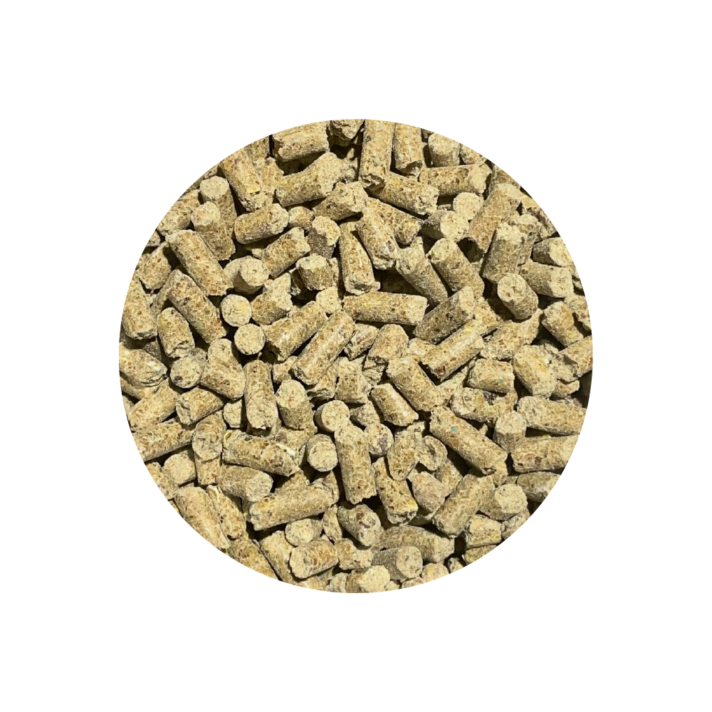 Strong Bones 900 g BIOFEED Horse & Pony