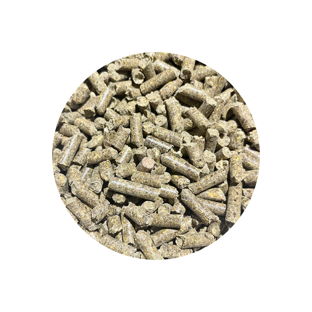 Respiration 900 g BIOFEED Horse & Pony