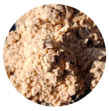 Odpiaszczacz dla koni  Sand Remover 800 g BIOFEED Horse & Pony