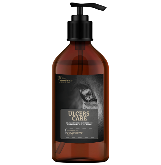 Suplement dla koni wrzodowych Ulcers Care 1 l BIOFEED Horse & Pony