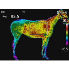 Maska Antystresowa z Uszami Fenwick Liquid Titanium® Mask