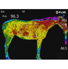 Maska Antystresowa z Uszami Fenwick Liquid Titanium® Mask