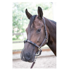 Maska na Chrapy Czarna Harry's Horse