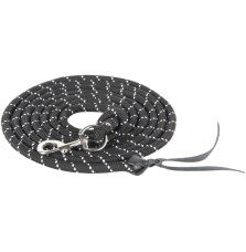 Lina do Pracy z Ziemi Krótka Harry's Horse