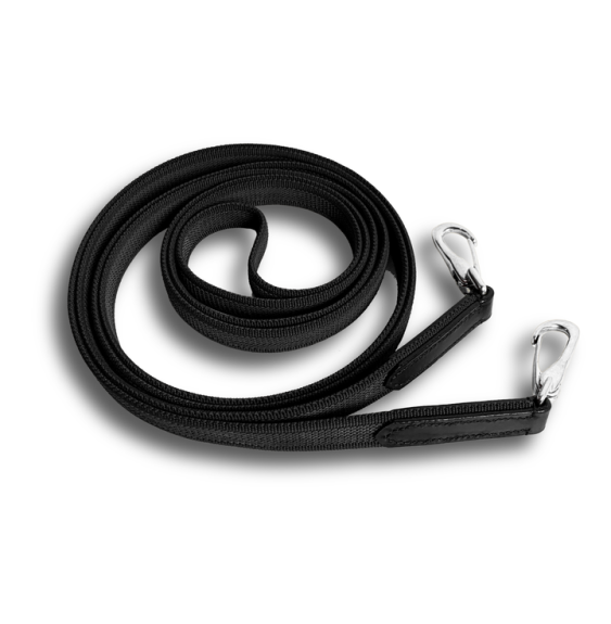 Wodze Jasper FR Equestrian