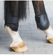 Ochraniacze Skorupy „Compete" Tyły Kavalkade