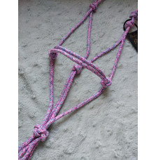 Halter Little Pony Favori Pet Shop