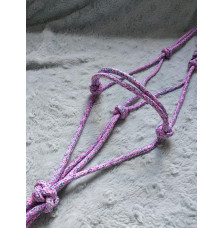 Halter Little Pony Favori Pet Shop