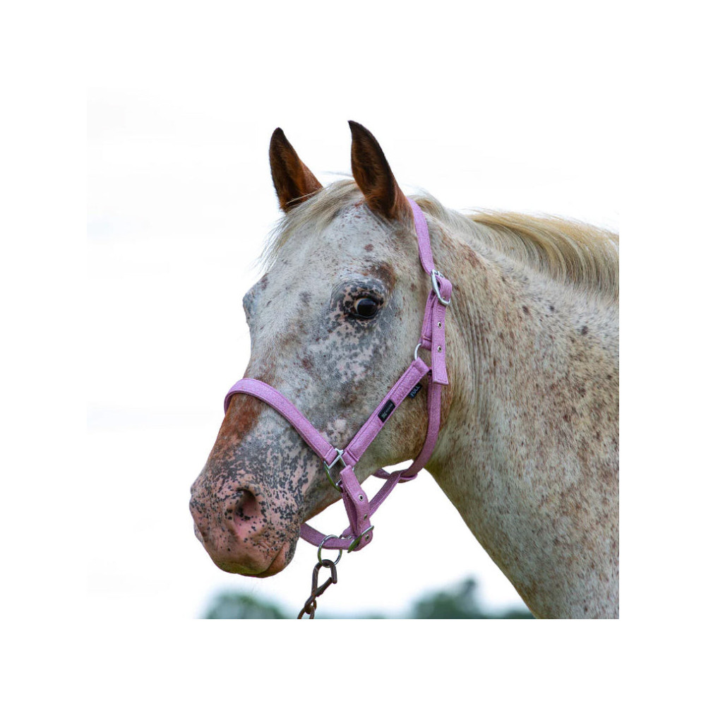 Brokatowy Kantar Blush Ponyo