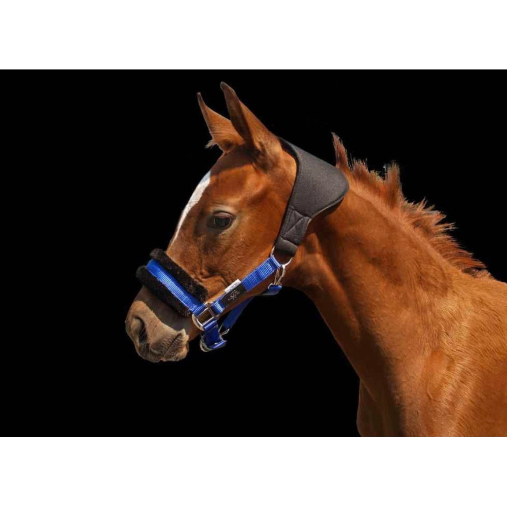 Kantar Kolorowy Nylon Faux Fur NeXaver®