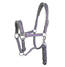 Kantar z Uwiązem Calipso York