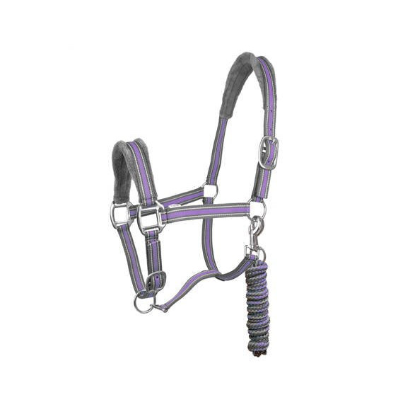 Kantar z Uwiązem Calipso York