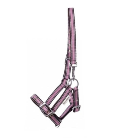 Kantar Źrebięcy Kavalkade