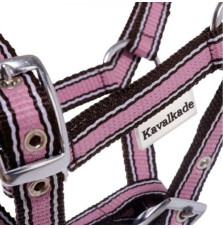 Kantar Źrebięcy Kavalkade