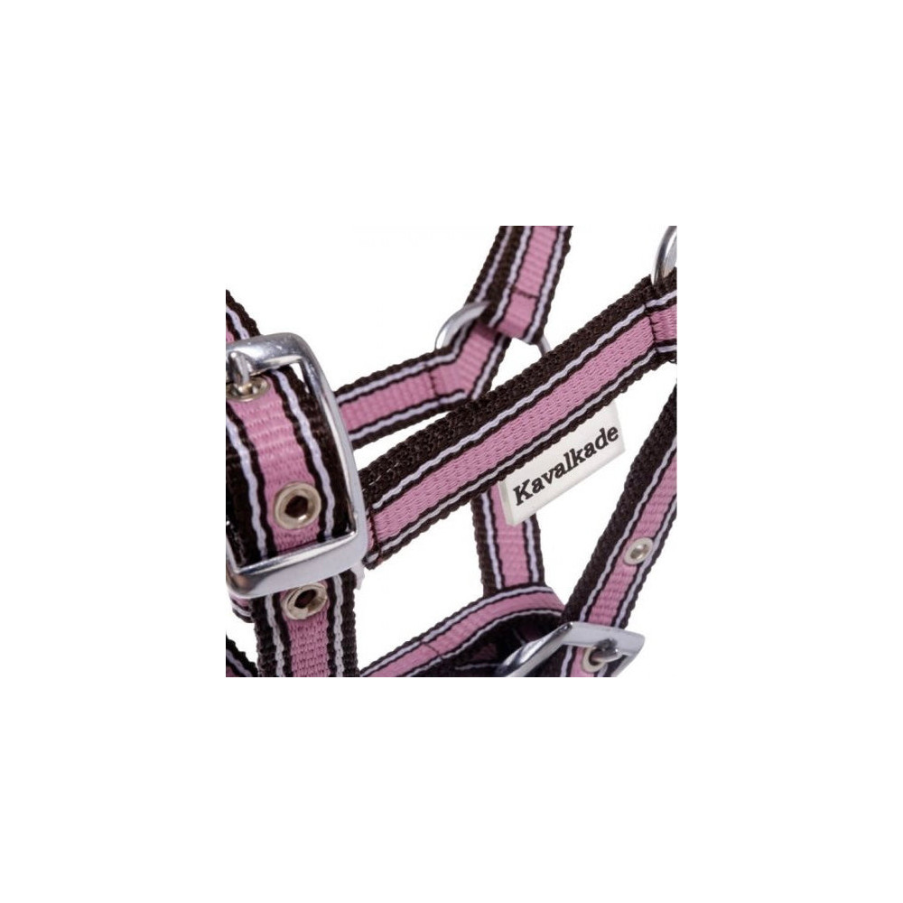 Kantar Źrebięcy Kavalkade