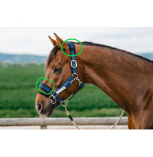 Podkładka do Kantara Reflecting Stubben