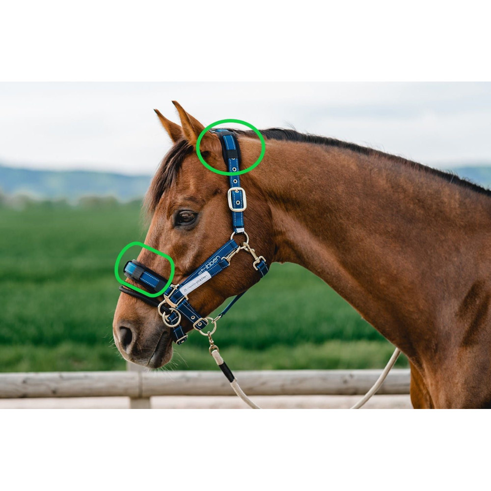 Podkładka do Kantara Reflecting Stubben